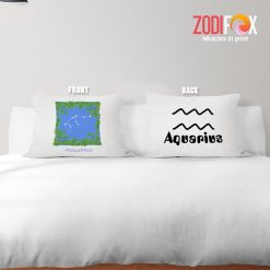 exciting Aquarius Natural Throw Pillow birthday zodiac presents for horoscope and astrology lovers – AQUARIUS-PL0016