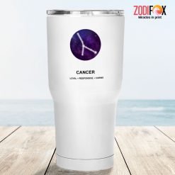 exciting Cancer Constellation Tumbler zodiac presents for astrology lovers – CANCER-T0017