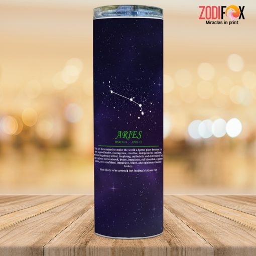 great Aries Leader Tumbler signs of the zodiac gifts – ARIES-T0027