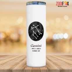interested Gemini Element Tumbler zodiac inspired gifts – GEMINI-T0041