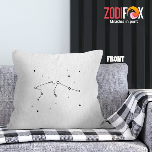 cool Aquarius Bearer Throw Pillow zodiac gifts for horoscope and astrology lovers – AQUARIUS-PL0055
