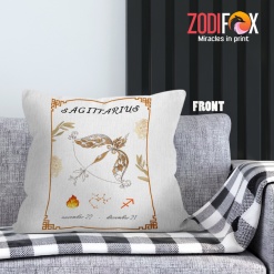 funny Sagittarius Element Throw Pillow zodiac-themed gifts – SAGITTARIUS-PL0008