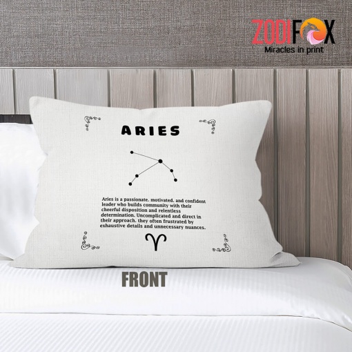 funny Aries Creative Throw Pillow birthday zodiac sign gifts for astrology lovers – ARIES-PL0029