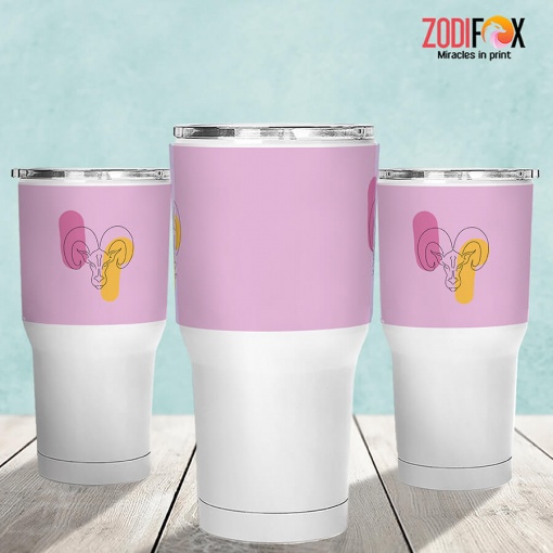 funny Aries Graphic Tumbler zodiac lover gifts – ARIES-T0048