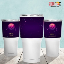 funny Aries Confident Tumbler zodiac presents for horoscope and astrology lovers – ARIES-T0050