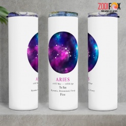 wonderful Aries Dynamic Tumbler horoscope lover gifts – ARIES-T0007