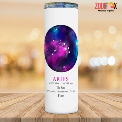 hot Aries Dynamic Tumbler astrology horoscope zodiac gifts for man and woman – ARIES-T0007