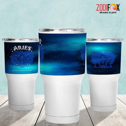 best Aries Night Tumbler astrology horoscope zodiac gifts for boy and girl – ARIES-T0009