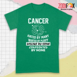nice Cancer Hated By Many Premium T-Shirts