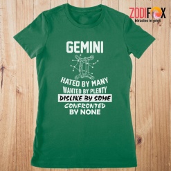 interested Gemini Hated By Many Premium T-Shirts